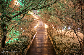 شب برفی مشهد