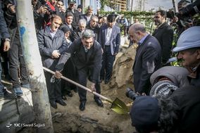 پیروز حناچی، شهردار تهران در آیین کاشت ۴٠ اصله درخت چنار در حاشیه خیابان ولیعصر (عج)