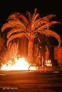 نمایش «ماهی در خاک»