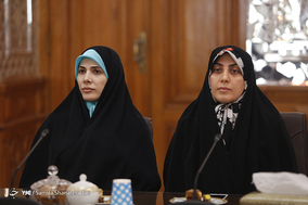 دیدار نمایندگان زن مجلس شورای اسلامی با علی لاریجانی
