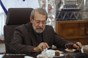 دیدار نمایندگان زن مجلس شورای اسلامی با علی لاریجانی