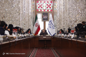 دیدار نمایندگان زن مجلس شورای اسلامی با علی لاریجانی