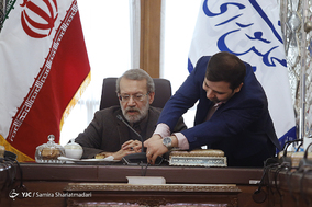 دیدار نمایندگان زن مجلس شورای اسلامی با علی لاریجانی