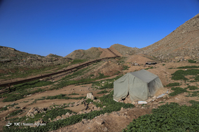 مسجدسلیمان نفت خیز ولی محروم