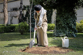 کاشت نهال توسط رهبر معظم انقلاب