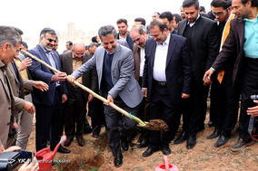 مراسم روز درختکاری در شیراز