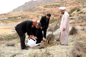 مراسم روز درختکاری در شیراز