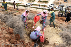 مراسم روز درختکاری در شیراز