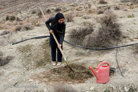 مراسم روز درختکاری در شیراز