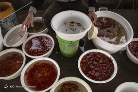 پرورش «ماهی قرمز»