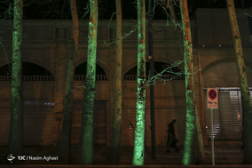 مرگ تدریجی درختان خیابان ولیعصر (عج)