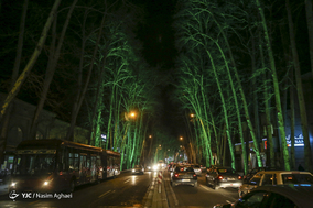 مرگ تدریجی درختان خیابان ولیعصر (عج)