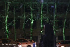 مرگ تدریجی درختان خیابان ولیعصر (عج)