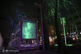 مرگ تدریجی درختان خیابان ولیعصر (عج)