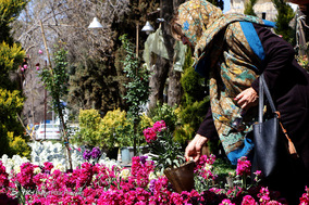 بازار شیراز در آستانه سال نو