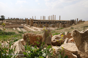 تخت جمشید شیراز