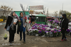 بازار گل  در آستانه ی سال نو