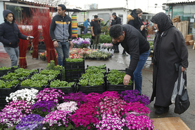 بازار گل  در آستانه ی سال نو