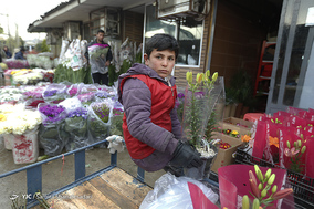 بازار گل  در آستانه ی سال نو