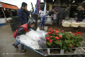 بازار گل  در آستانه ی سال نو