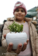 بازار گل  در آستانه ی سال نو