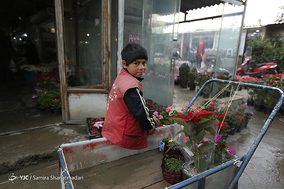 بازار گل  در آستانه ی سال نو