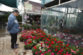بازار گل  در آستانه ی سال نو