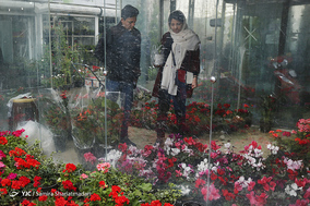 بازار گل  در آستانه ی سال نو