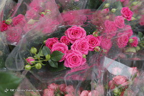 بازار گل  در آستانه ی سال نو