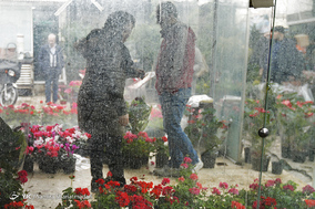 بازار گل  در آستانه ی سال نو