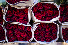 بازار گل  در آستانه ی سال نو