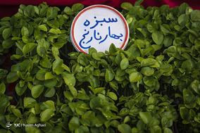 تجریش در آستانه سال نو
