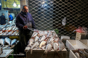 خرید ماهی شب عید