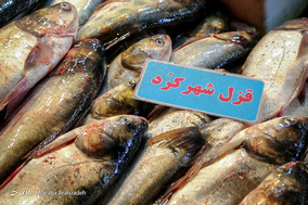 خرید ماهی شب عید
