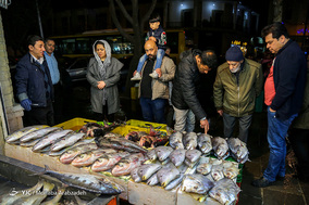 خرید ماهی شب عید