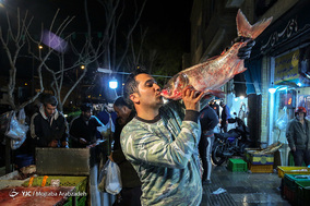 خرید ماهی شب عید