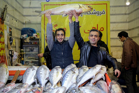خرید ماهی شب عید