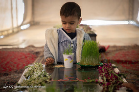 آیین سنتی حلوا پزان