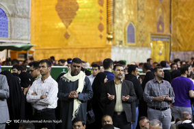 زائران نوروزی بارگاه مقدس امیرالمومنین(ع)