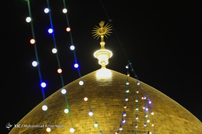 زائران نوروزی بارگاه مقدس امیرالمومنین(ع)