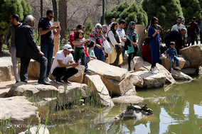 ایران ما؛ باغ ارم شیراز