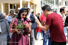 ایران ما؛ باغ ارم شیراز