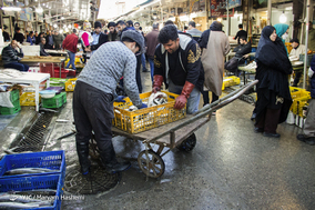 بازار ماهی فریدونکنار یکی از قدیمی‌ترین مکان‌های عرضه ماهی در شمال کشور