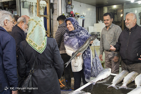 بازار ماهی فریدونکنار یکی از قدیمی‌ترین مکان‌های عرضه ماهی در شمال کشور