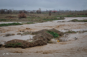 ابهررود دوباره جان گرفت