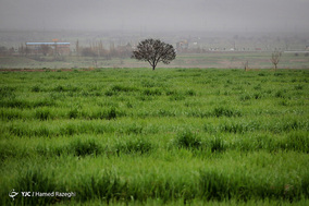 ابهررود دوباره جان گرفت