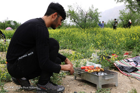 روز طبیعت دریاچه مهارلو شیراز