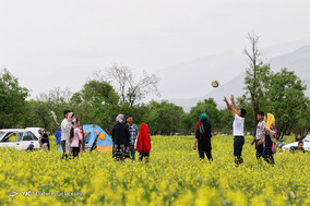 روز طبیعت دریاچه مهارلو شیراز
