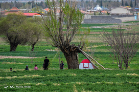 روز طبیعت در بوستان کوهپایه کرمان