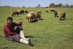 روز طبیعت در روستاهای کفشگیری گرگان